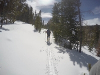 The long approach to Leidy Peak Trailhead