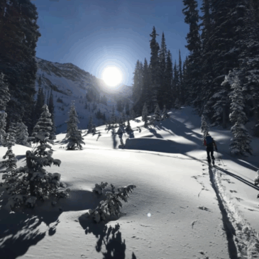 2016-2017 Ski Season Video Recap