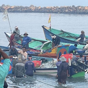 Beaches and Palaces – Southern India – Part 3