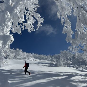 The Land of the Rising Powder