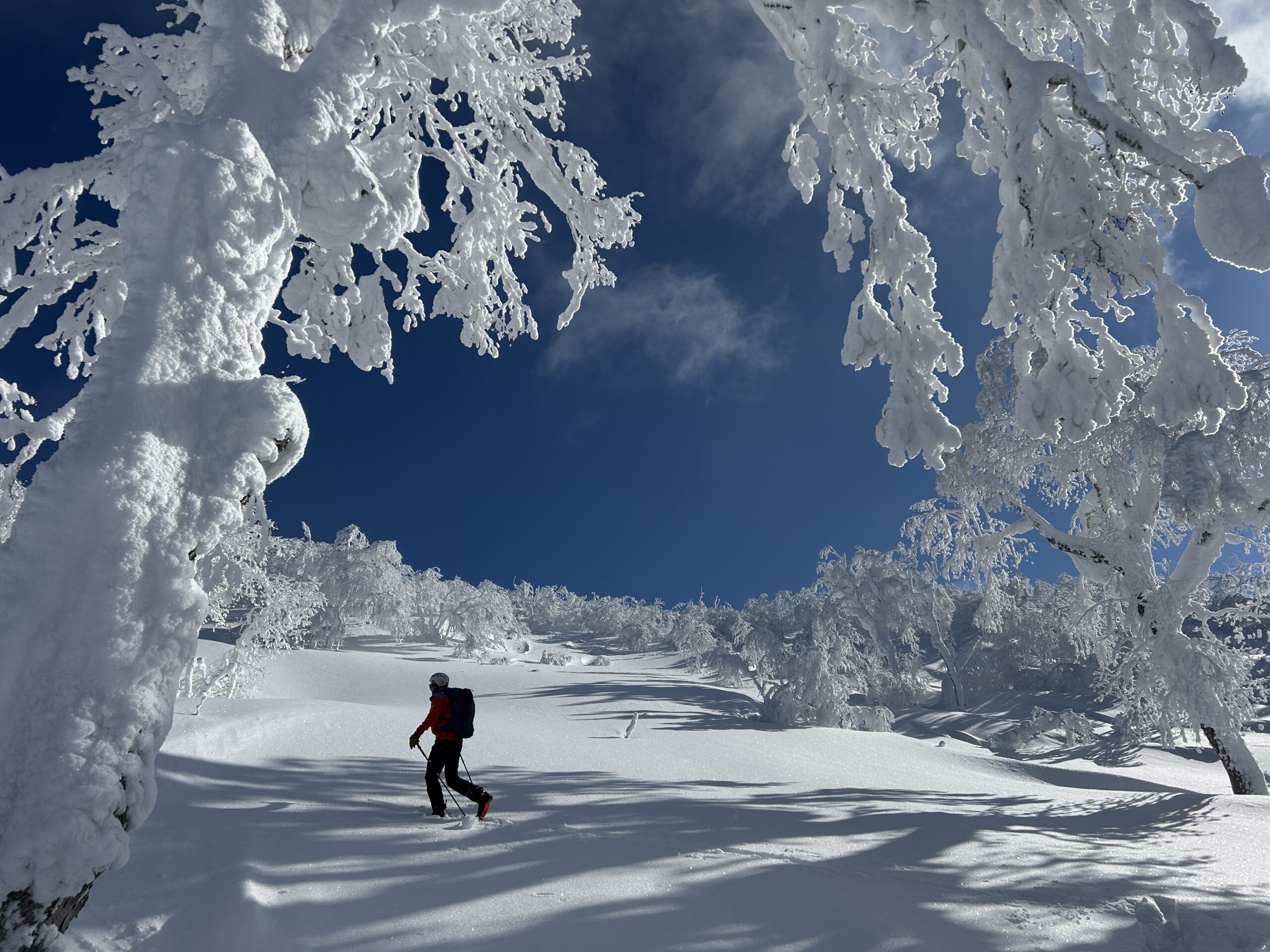 The Land of the Rising Powder – The Adventures of Emily & Chad