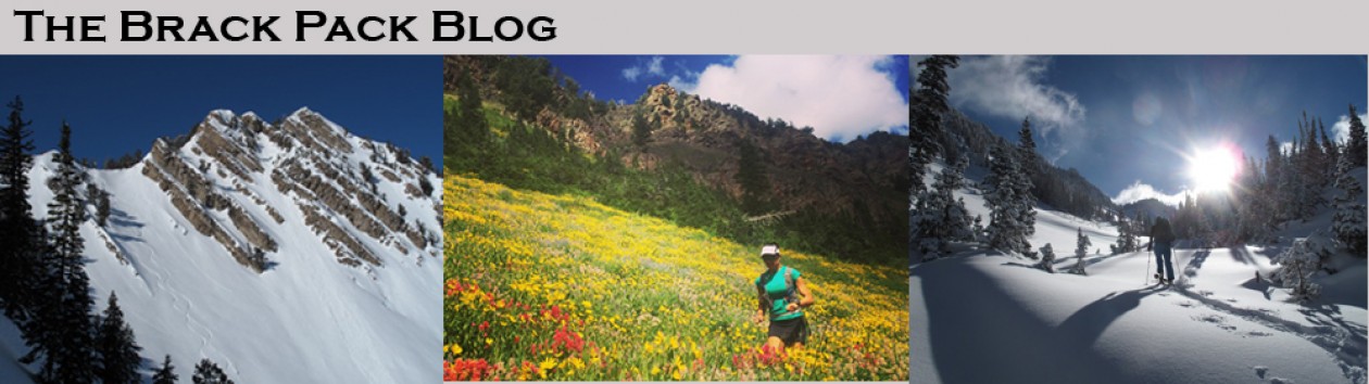 The Adventures of Emily & Chad